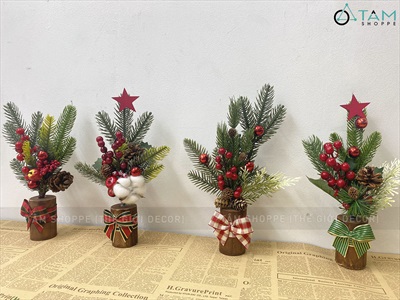 Chậu thông mini để bàn cành đỏ mọng cao 28cm đế gỗ [Nhiều kiểu] CHAUCAYGIA-19